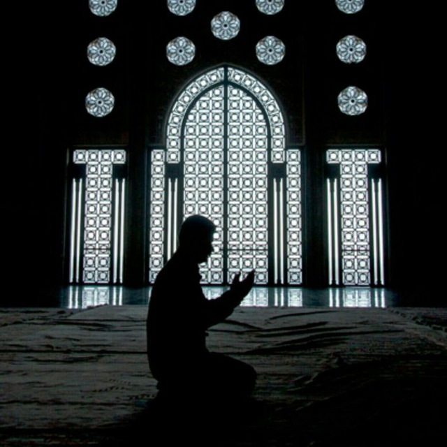 غروب الشمس🌼