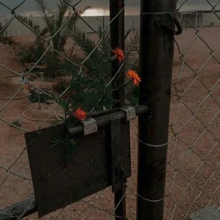 للأجر 🖤"
