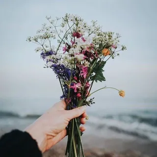 فاطم 🦋🍃