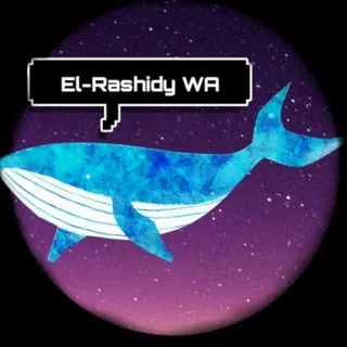Yousef M. El-Rashidy