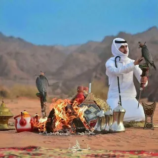 شيلات وخواطر شعر