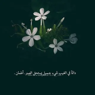 Musice 🎶