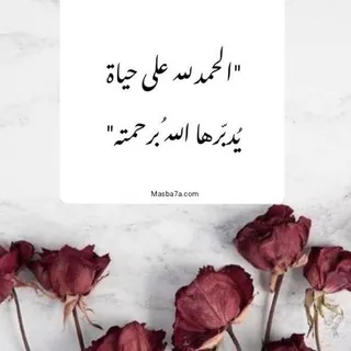 فوائد من ضياء💌