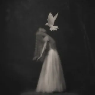 𝒎𝒖𝒕𝒆