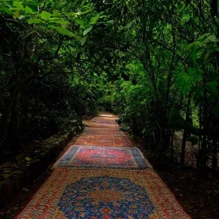 زعتر🌿