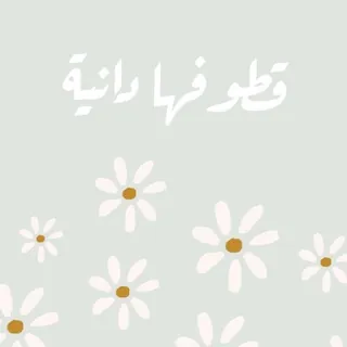 عَلَىٰ نَهْجِ اِْلْكِتَابِ وَالسُّنَّةِ بِفَهْمِ سَلَفِ اِْلأُمَّةِ| 🌸