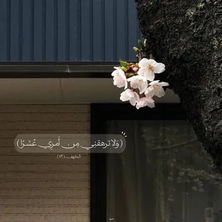 هُنا أُممٌ | ذكر وقرآن 🌙