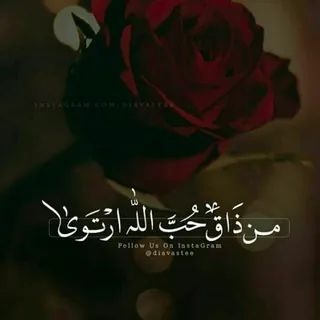 رُبَ كلمة تهدي أمة