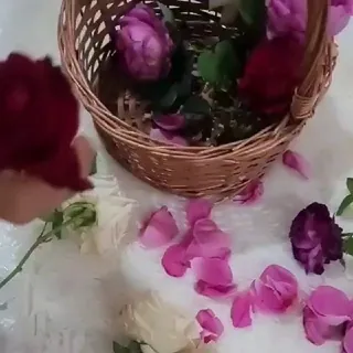 قيام الليل سر سعادتي