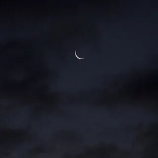 عابر سبيل
