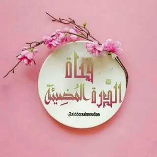 🌸•• الدُرّةُ المُضــيئَـةُ••🌸