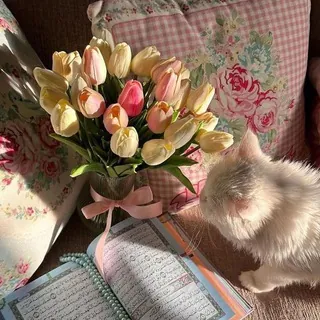 طمأنينة💗.
