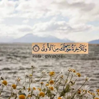 معاً للوصول إلى الجنة ♥🦋