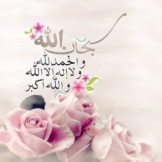 نور الفوائد 🌸