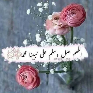 كل يوم صباح الخير ❤️