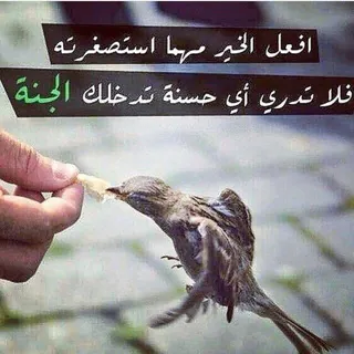 للسماء وجهتي...