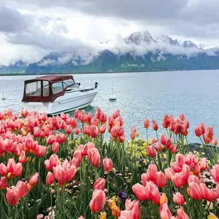 إيجابيات جوزال🍃