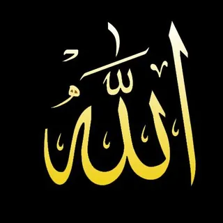 نورُ القلوبِ