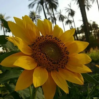 - (أُلَأُ بّذَڳّرٌ أُلَلَه تٌطٌمِئنً أُلَقُلَوِبّ) 💞✨-