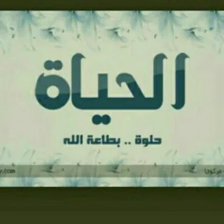 شاهد الشهد