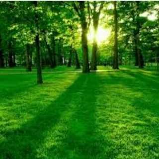 أضواء مشرقة