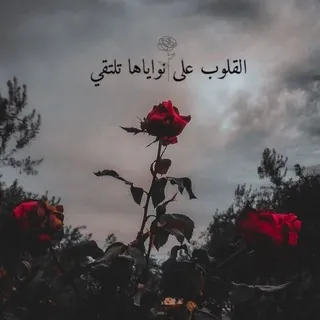 اقتباسات