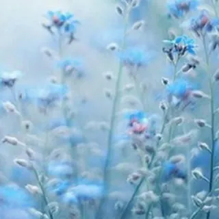 رَوْنَق الْحَيَاة 💙✨