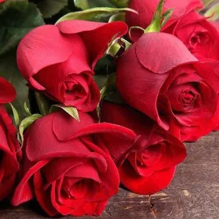 همسات انثويه(امرأة متميزة)