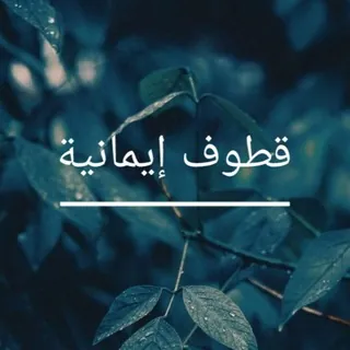قطوف إيمانية