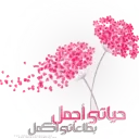 ففروا