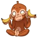 Mona Monkey