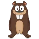 Beaver