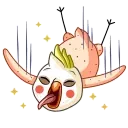 Cockatoo