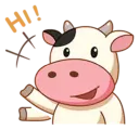 Momo Cow