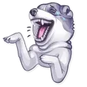 Dog it!