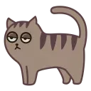 Fixel the Snob Cat