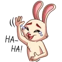 Gentle Rabbit