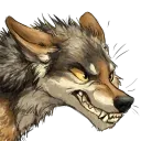 ketcoyotes