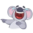 Koala Chuck