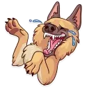 Moar Dog Memes