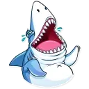 It's a Shark!