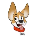 Corgi by Muzz