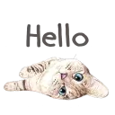 Nala & White Coffee Cat