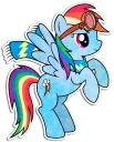 Pony