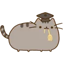 Pusheen 2.0