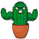 Sarcactus