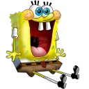 sponge