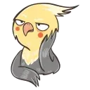 @zeligen7 chii parrot