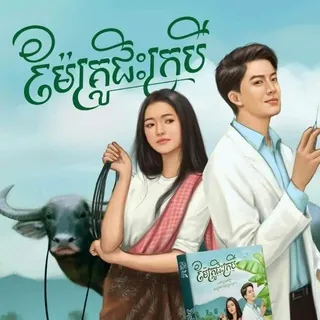 Love novel book